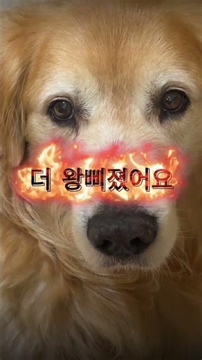 제주 투명카약 산책하기 좋은 곳 쇠소깍