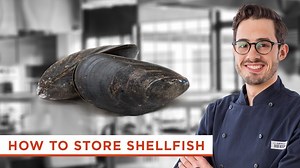 The professional guide to properly storing fresh shellfish at home