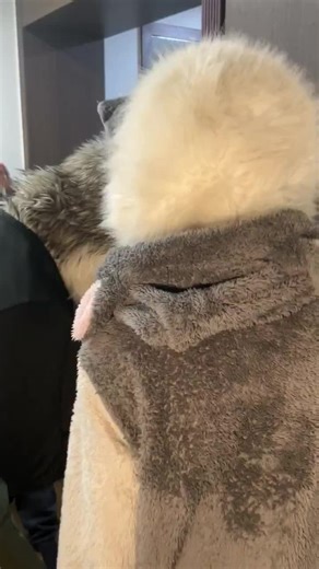 Exploring the Furry Community Through Art