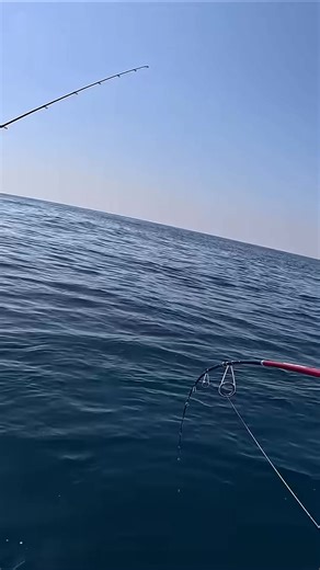 1.3K views | Jigging Fishing Techniques | Heath Little | Facebook