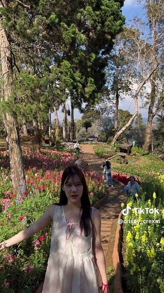 🌷✨💐 #crispy_cream🎄✨