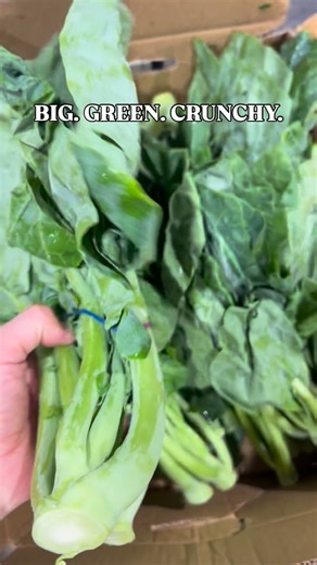 Fruit & Vegetable Wholesaler🇦🇺 on Instagram: "🥬 Our top 3 seller — Kai Lan is here! Thick stems, large leaves, ultra fresh and premium quality — just landed at @efreshaus 🚚✨ Available now for Monday delivery onward. Perfect crunch, perfect colour, perfect for you. Holding it in hand — this is what real quality kailan looks like 💪🌱 #asian #veg #kailan #top3"