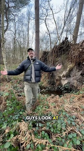Why Do Trees Uproot? And How Do They Support Wildlife Even After Falling? 🌳