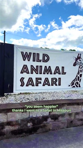 📣This fall, trade hayrides for hoof beats and make your way to Wild Animal Safari!🦒🍂 Crunching leaves, crisp air, and capybaras? Yes, please!🤩 👉🏻 Learn more: wildanimalsafari.com | Wild Animal Safari - MO