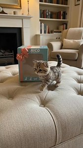 🐱 New Arrival — HERMSA Interactive Robot Kitten 🐱 😍 The most realistic robot pet ever! This adorable kitten delivers lifelike 💯 movements, interactive play, and endless cuddles—no litter box needed! ✨ Amazing Features: 🐾 Walks, runs, sits & meows 👀 Realistic movements & sounds 💕 Super soft plush fur 🎮 Interactive & responds to touch 🔋 Battery powered (easy to use) 🎁 Perfect gift packaging 👶 Safe for kids 3 🎁 Perfect gift for kids, cat lovers, elderly companions, allergy sufferers, ap