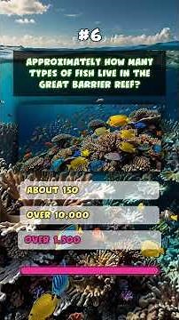 Great Barrier Reef Quiz 🐠🌊 (Can You Get 10/10?)