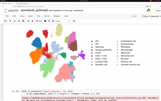 Pseudobulk single-cell analysis in Python with Scanpy and pyDeseq2