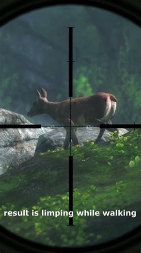 This is why theHunter classic is still the most immersive hunting game