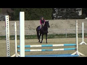 Springstunde 22.04.15 // REITTV