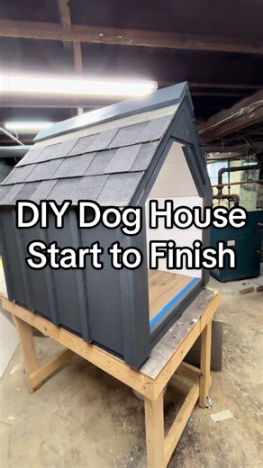 Creating a DIY Dog House from Scratch