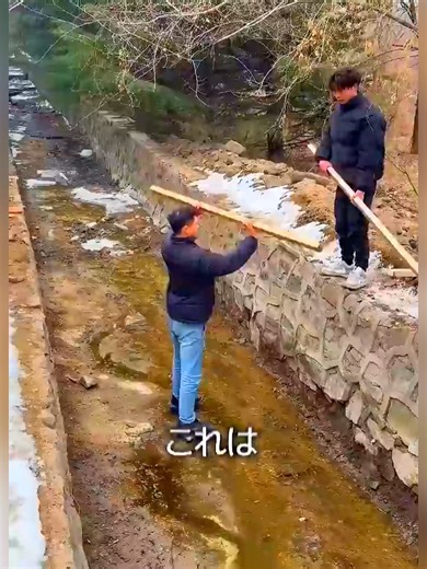二人で作る木の橋の実験