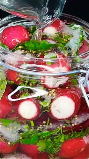 CRUNCHY PICKLED RADISH#appetizer