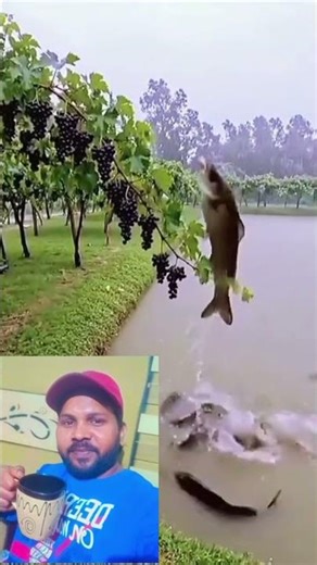 Google bata do use bewafa ki bewafai#sorts #short