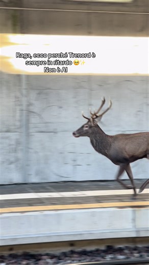 Trenord e i suoi ritardi: La verità svelata