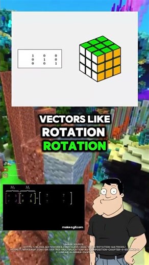 What a matrix represents physically