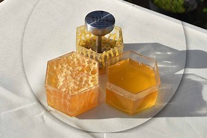 « De la ruche à la tartine », Bee's Dream réinvente la chaîne du miel avec le Bee's Kiss