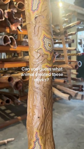 heartlanddidgeridoos.com.au #didgeridoo #yidaki #australia #art