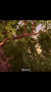 #khmercartoon #cartoon #SpeakKhmer | Cartoons 4K