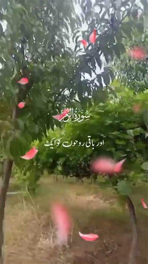 ‎hadees e hazrat Muhammad,hadeese in urdu shorts, hadeese qudsi‎