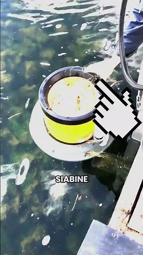 Seabin Sauve Nos Océans