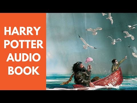 Chinese Audiobook with Text and Pinyin. Harry Potter and the Philosopher's Stone, Chapter 4.