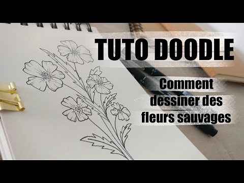 DOODLE DRAWING TUTORIAL | How to draw a wildflower