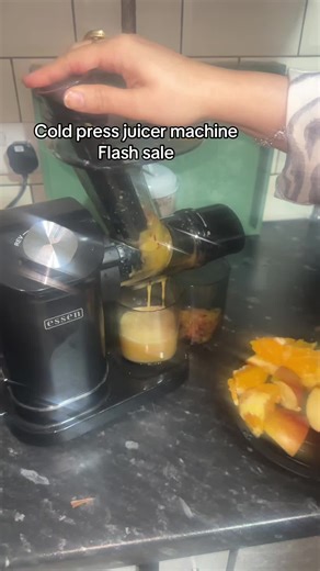 Compact Cold Press Juicer Machine for Fresh Juices