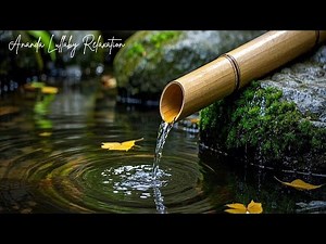 Gentle Lullabies for Adults – Soft Sleep Sounds to Ease Anxiety and Stress