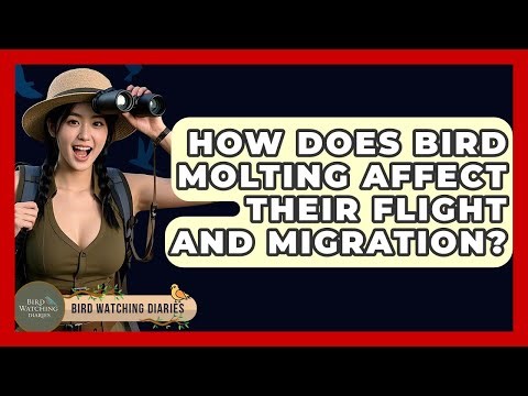 How Does Bird Molting Affect Their Flight And Migration? - Bird Watching Diaries
