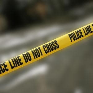 Marine City police say active shooter report was actually swatting