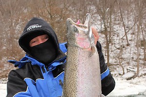 Lake Ontario Fall Tributary Fishing - In-Fisherman