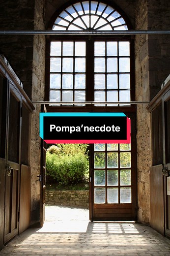 Les Écuries de la Marquise : une légende à Pompadour ✨ #pompadour #chateau #fyp #ecuries #patrimoine #visite