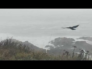 1 John chapter One. Bible Study.