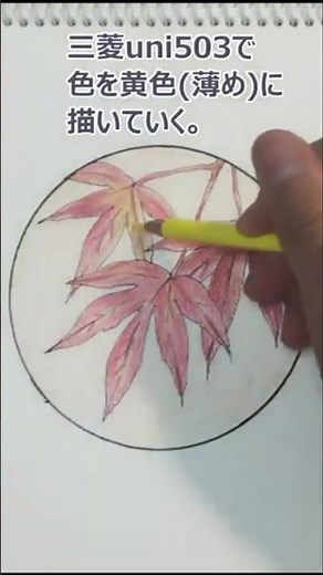 【20秒で完成】信じられない速さ！冬の紅葉アート