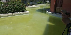 He dives into the dirty pool, it's his own fault that he has diarrhea (Video)