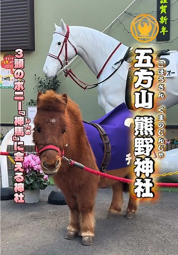 五方山熊野神社の魅力と訪問ガイド