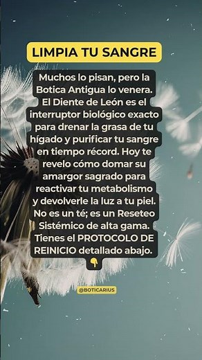 "DIENTE DE LEÓN"🌼La Planta que REINICIA tu Hígado y Limpia tu Sangre