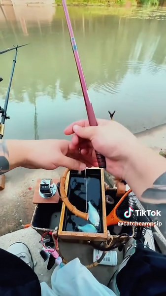 Micro Fishing Techniques for Beginners