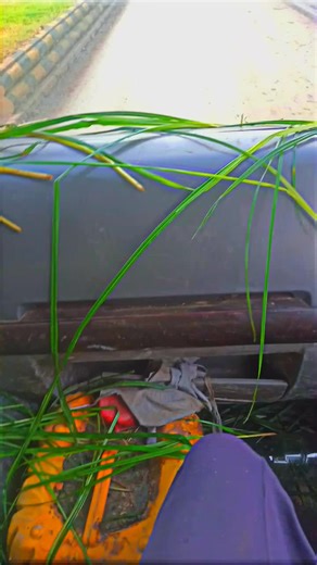 𝑏𝑎𝑚𝑏𝑖𝑙𝑒2119 (@bambile2119)’s videos with original sound - 𝑏𝑎𝑚𝑏𝑖𝑙𝑒2119