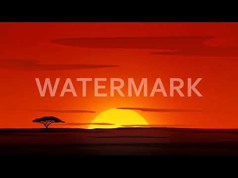 Lion King Sunrise (4K Stock Footage)