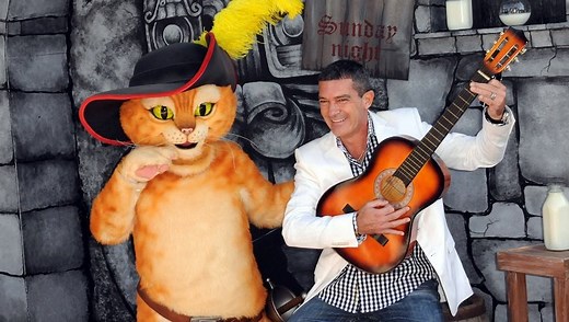 10 Of The Most Famous Movie Cats Of All Time - CatTime