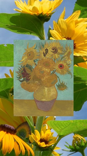 Soak up the end of summer with sunflower-filled day trips to @philamuseum and @NYBG inspired by Van Gogh’s masterpieces. 🌻 See his iconic “Sunflowers” up close at the Philadelphia Museum of Art, on view in the European Art gallery. Then experience those blooms brought to life at the New York Botanical Garden’s Van Gogh’s Flowers exhibition—where fields of real sunflowers, floral recreations of his paintings, and immersive art installations capture the spirit of his work like never before. A sha