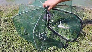 Fish Trap Crab Trap Minnow Trap, Crab Net Crawfish Trap Bait Trap for Fishing Trap for Crab Shrimp Fish Bait Crayfish Crawdad, Portable Folded Fishing Net Trap, Shrimp Net, Cast Nets