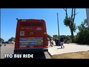 TTC Route 175 Bus Ride From Bluffers Park To Kennedy Station