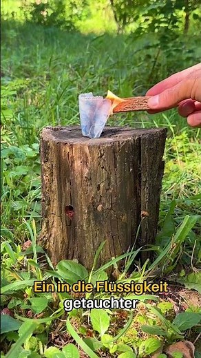 Quick and Easy Tree Stump Removal