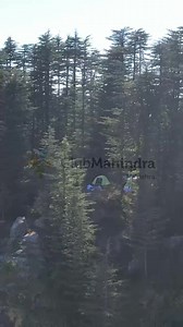 A walk through the whispering pines. Majestic views that mesmerise. A picnic laid out in the heart of nature. This is Himachal at its finest. Perched at 7,500 feet, Club Mahindra Naldhera rises with the Himalayas—the crowning glory of our country. This World Mountain Day, we welcome you to our retreat to step into the great outdoors. Some extra magic: The resort’s architecture is a blend of British colonial elegance and Himachali craftsmanship—a fairytale sight, especially on snowy days. | Club 