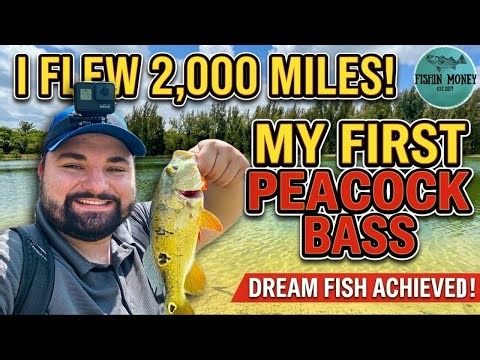 I Flew 2,000 Miles to Catch My Dream Fish... My First Peacock Bass!