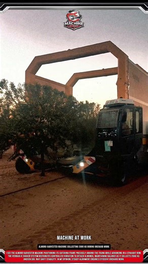Almond Harvester machine Collecting 2000 kg During Orchard Work