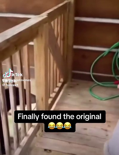 Can I pet that dawg #funny #meme #dankmeme #memes #tiktok #vine #lol #pet #that #dog #dawg #funny #lol #lmao #lmfao #hilarious #laugh #laughing #tweegram #fun #friends #photooftheday #friend #wacky #crazy #silly #witty #instahappy #joke #jokes #joking #epic #instagood #instafun #funnypictures #haha #humor #funny #funnymemes #funnyvideos #funnyshit #funnymeme #funnypictures #funnyvideo #funnyaf #funnyposts #funnypics #funnyquotes #funnycat #funnydog #funnypic #funnypost #funnycats #funnytextpost 