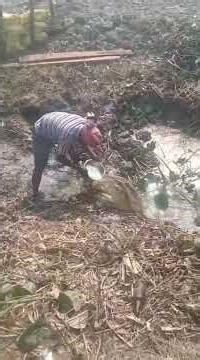 Pool (bridge) under construction..